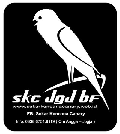 Detail Burung Kenari Vektor Nomer 25