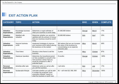 Detail Business Activity Plan Template Nomer 14