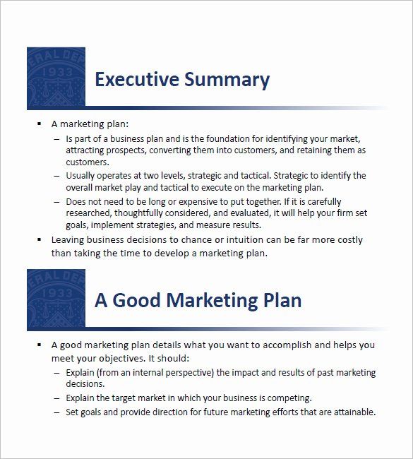 Detail Business And Marketing Plan Template Nomer 36