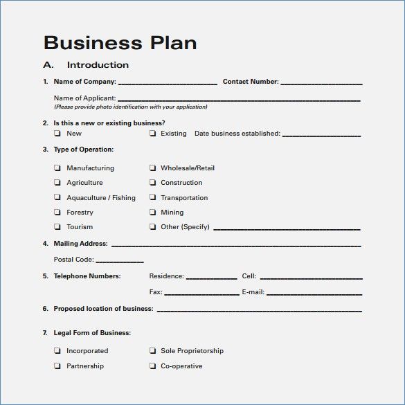 Detail Business Plan Template Word Nomer 30