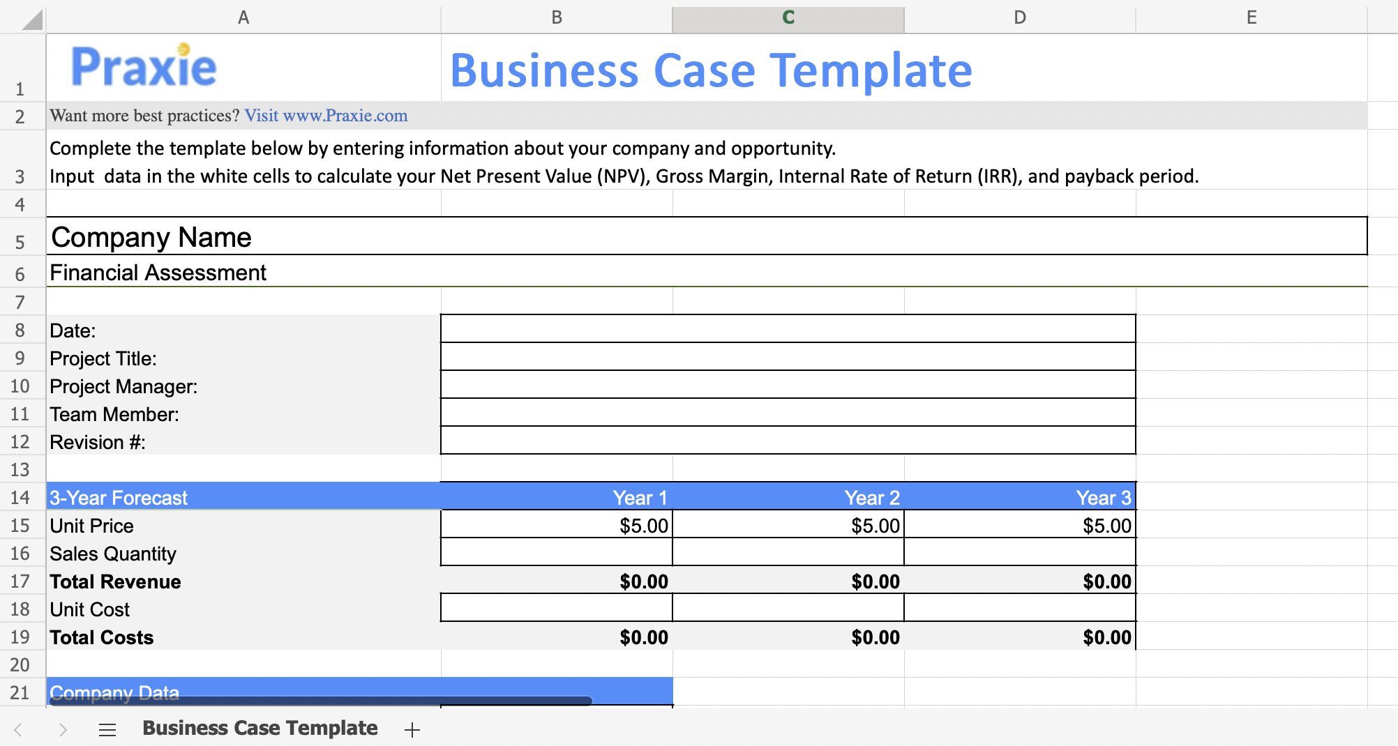 Detail Business Rationale Template Nomer 21