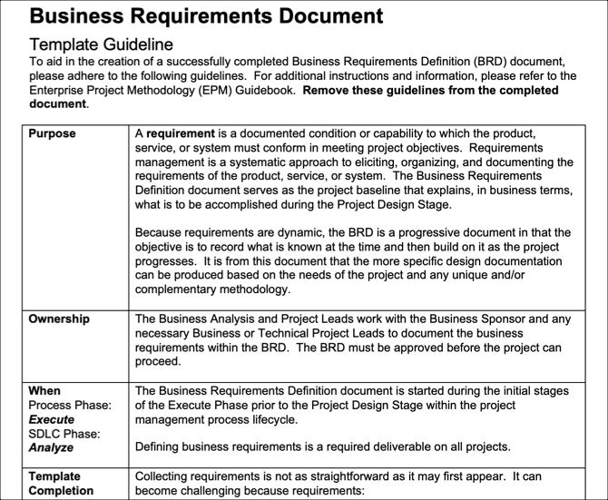 Detail Business Requirements Template Word Nomer 34