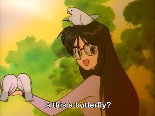 Detail Butterfly Anime Meme Nomer 29