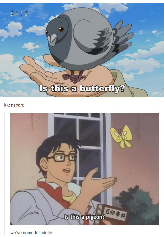 Detail Butterfly Anime Meme Nomer 56