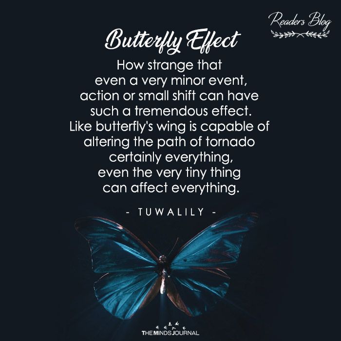 Detail Butterfly Effect Quote Nomer 2