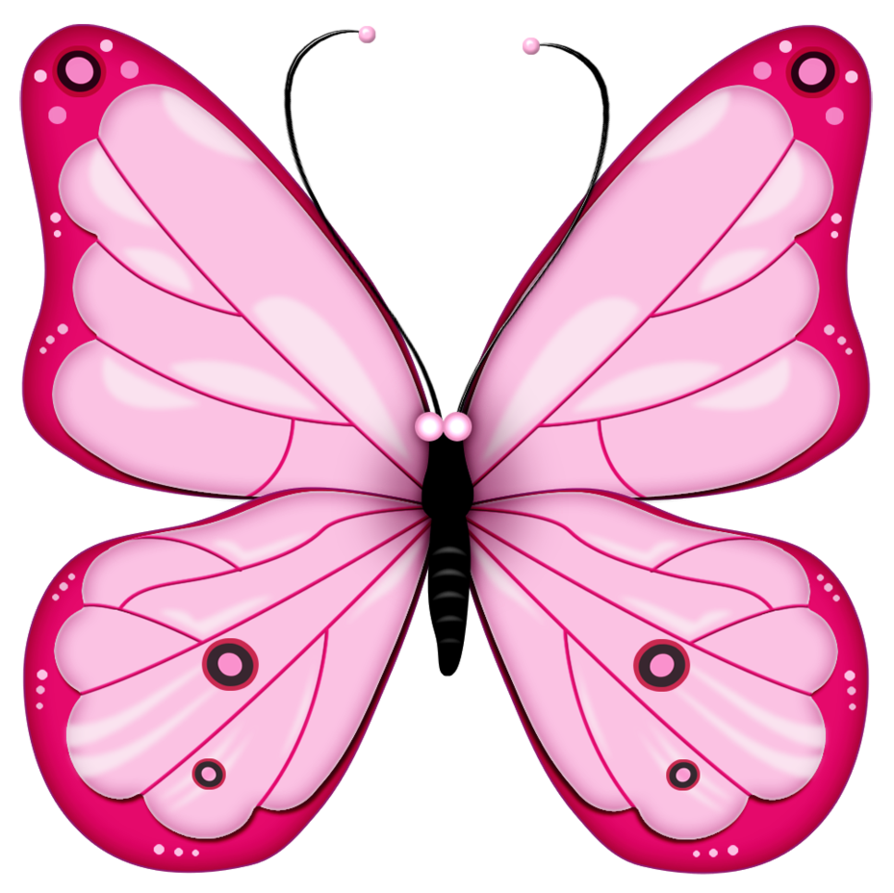 Detail Butterfly Hd Png Nomer 34