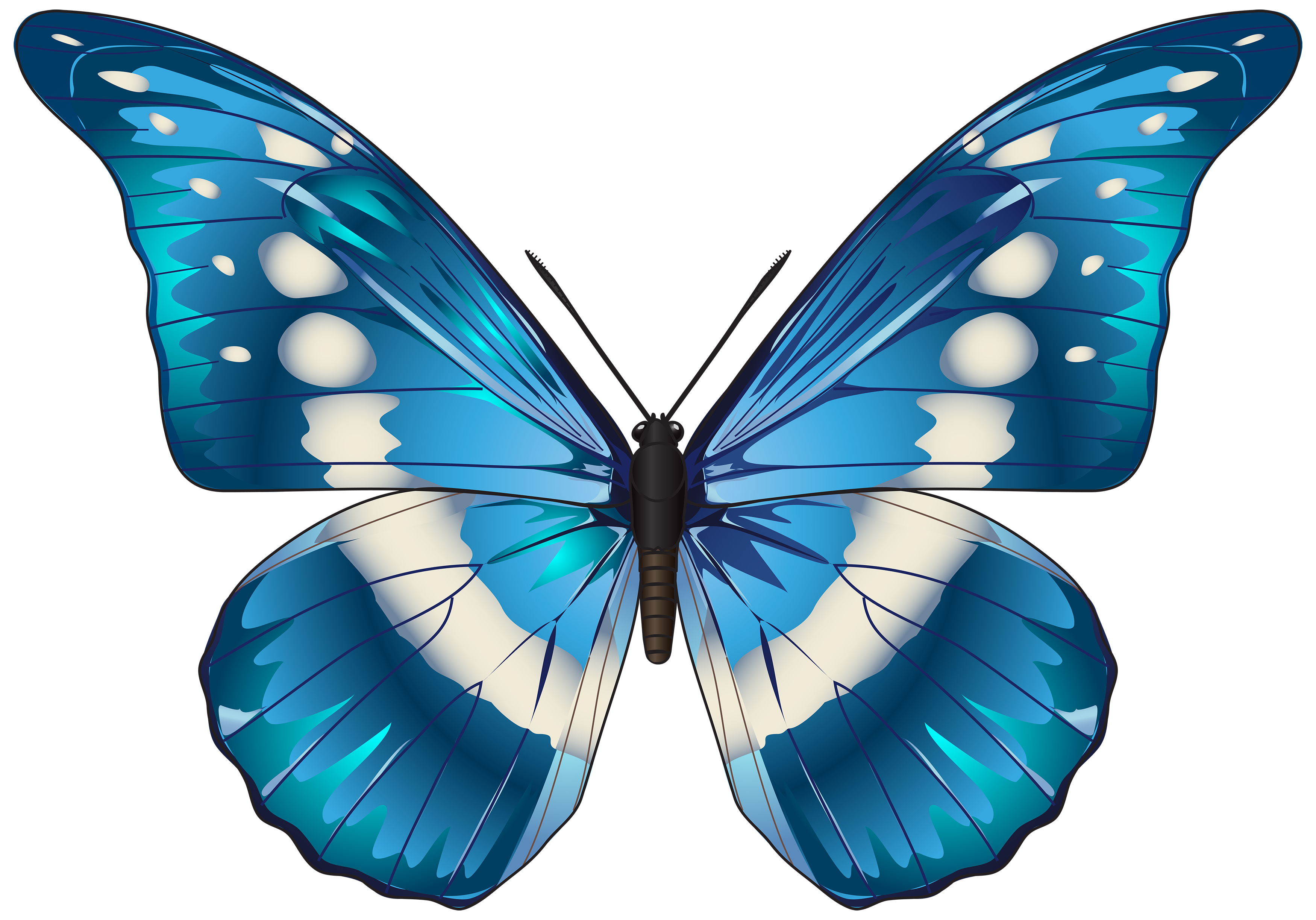 Detail Butterfly Hd Png Nomer 38