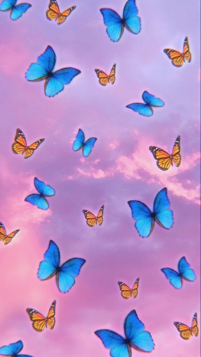 Butterfly Lock Screen - KibrisPDR