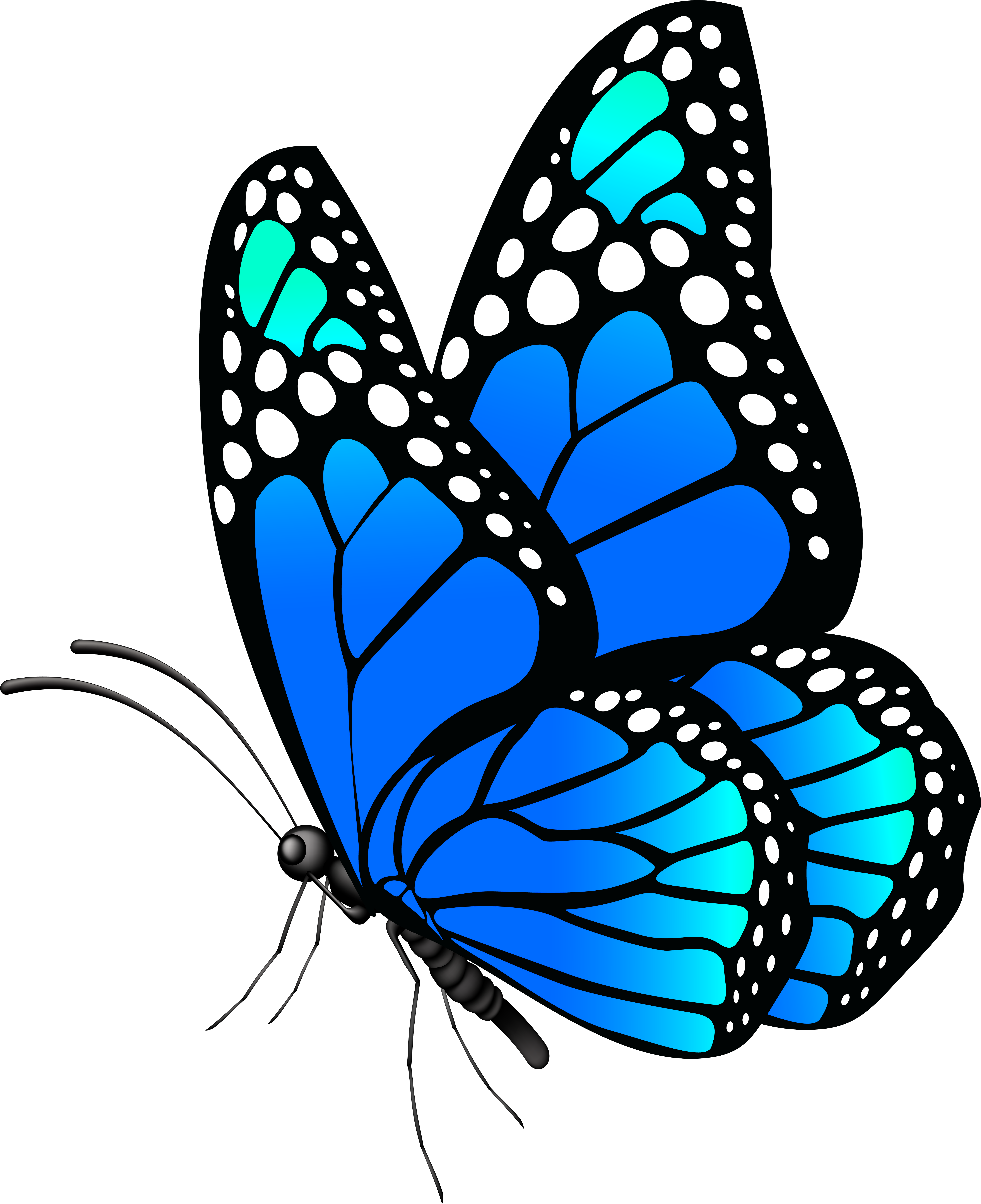 Detail Butterfly Png Hd Nomer 8