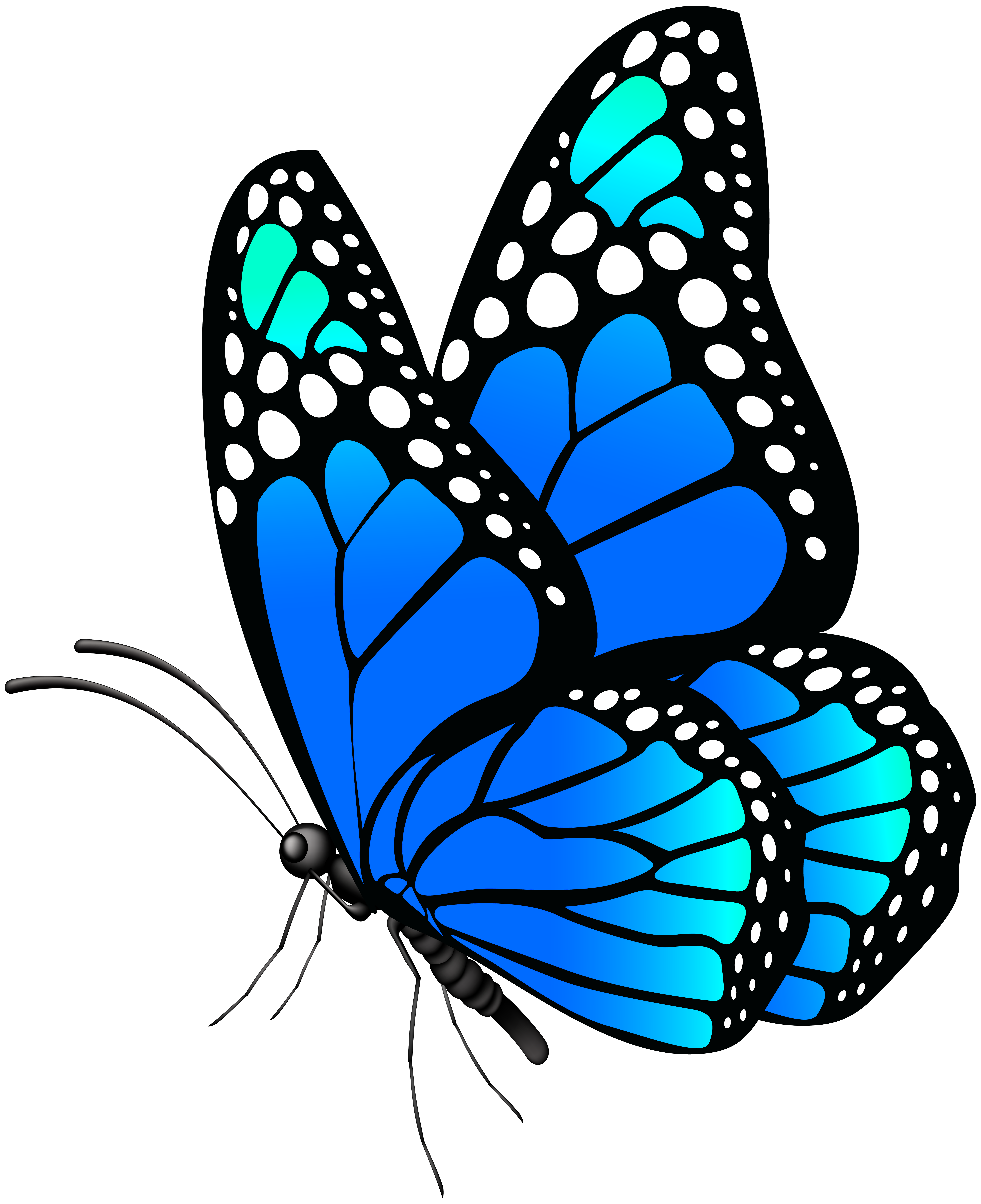 Detail Butterfly Png Hd Nomer 14