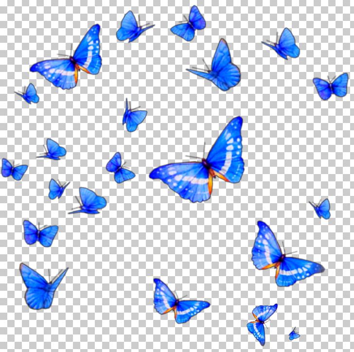 Detail Butterfly Png Hd Nomer 25