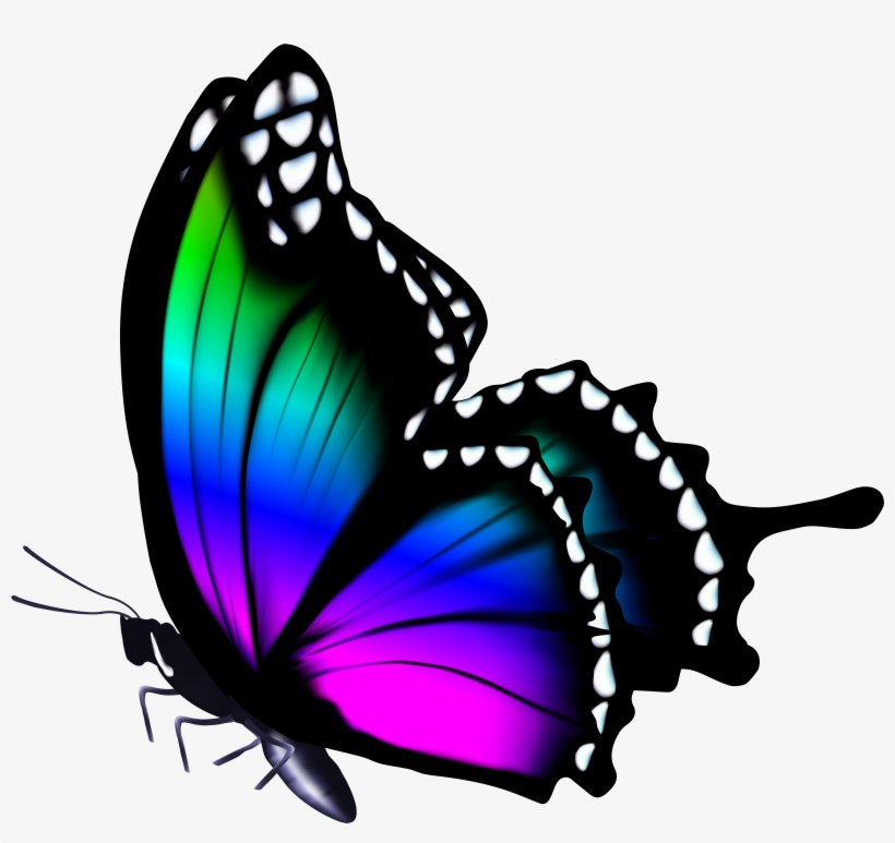 Detail Butterfly Png Hd Nomer 3