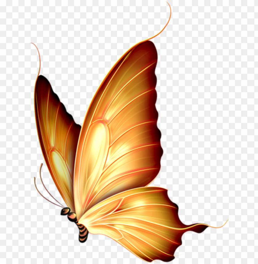 Detail Butterfly Png Hd Nomer 35