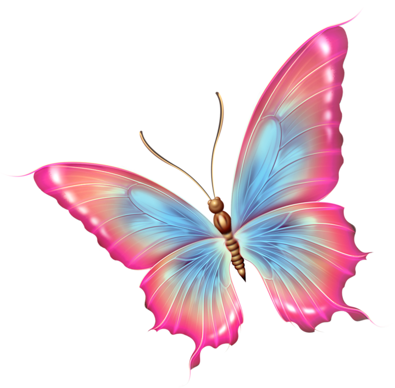 Detail Butterfly Png Hd Nomer 39