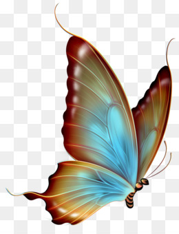 Detail Butterfly Png Hd Nomer 7