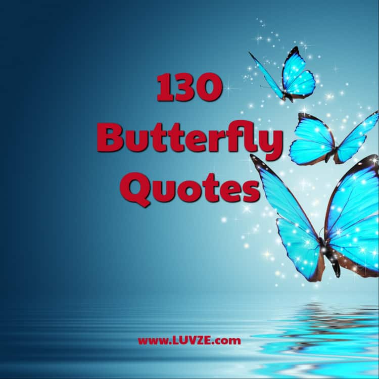 Detail Butterfly Transformation Quotes Nomer 32