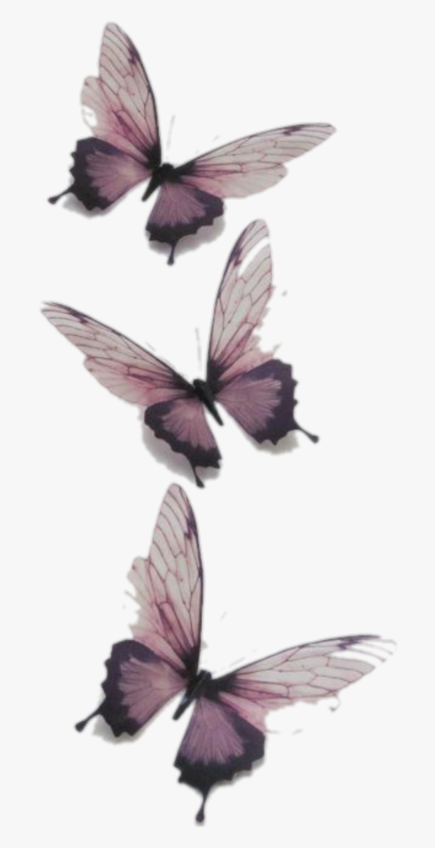 Detail Butterfly Tumblr Nomer 4