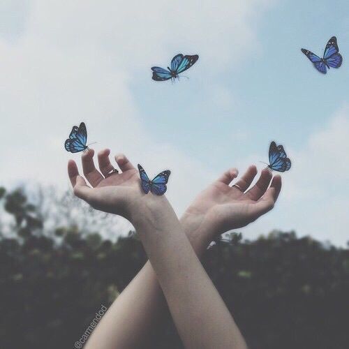 Detail Butterfly Tumblr Nomer 8
