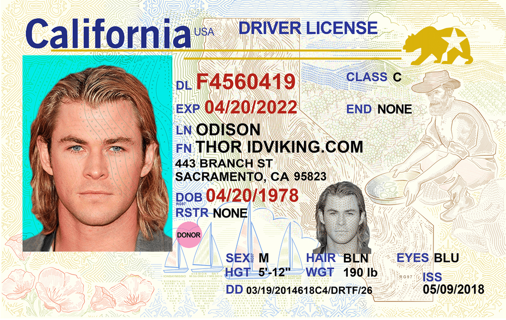 Detail California Driver License Template Psd Nomer 2