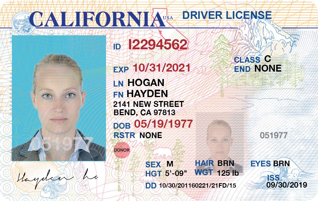 Detail California Driver License Template Psd Nomer 8