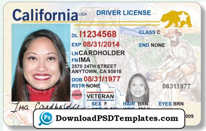 Detail California Driver License Template Psd Nomer 3