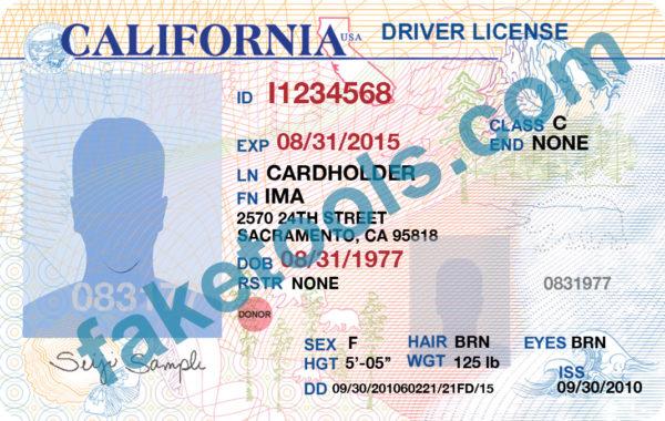 Detail California Driver License Template Psd Nomer 17