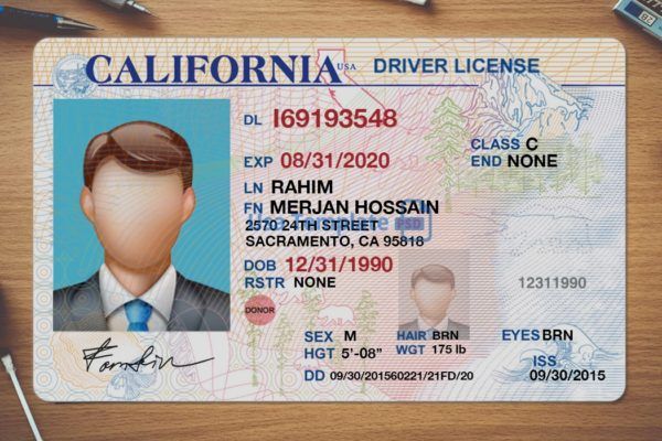 Detail California Driver License Template Psd Nomer 21