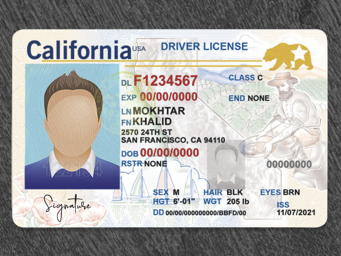 Detail California Driver License Template Psd Nomer 23