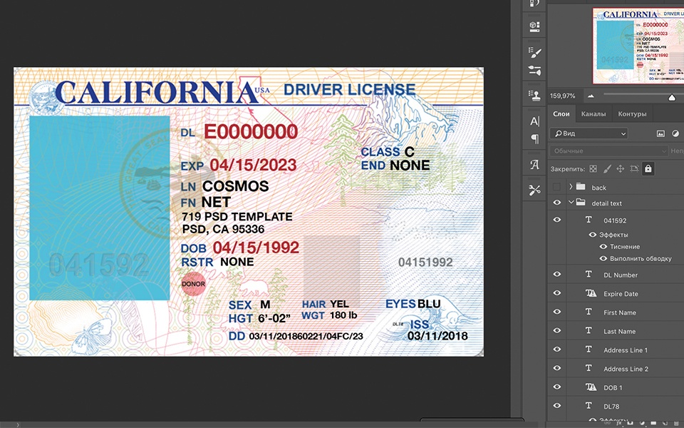 Detail California Driver License Template Psd Nomer 39