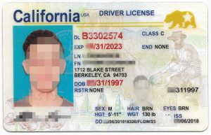 Detail California Driver License Template Psd Nomer 44