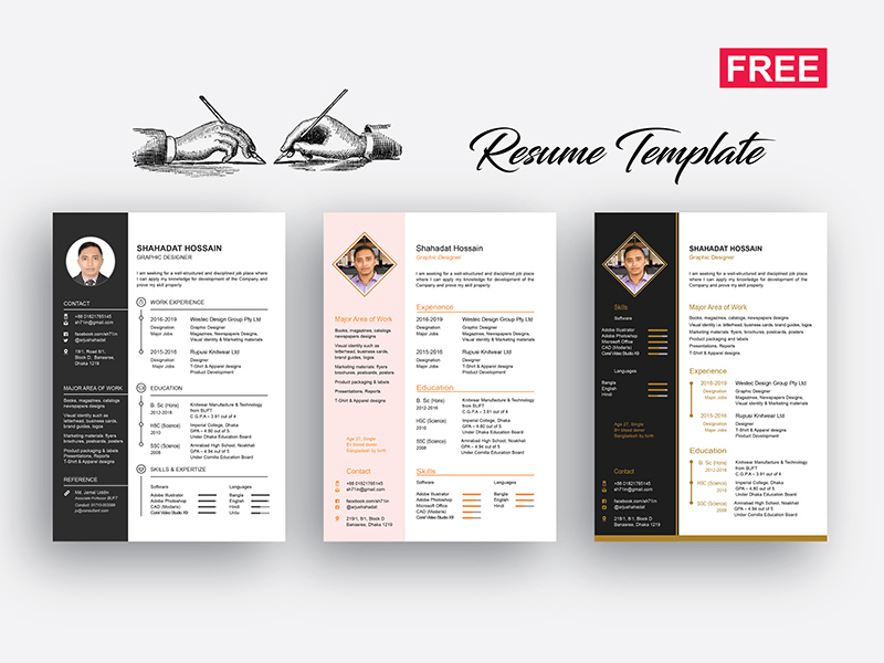 Detail Canva Template Cv Nomer 43