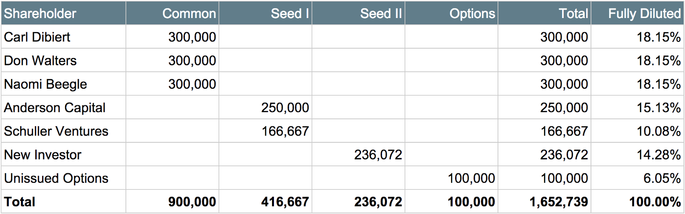 Detail Capitalization Table Template Nomer 22