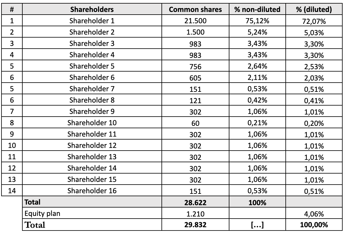 Detail Capitalization Table Template Nomer 54