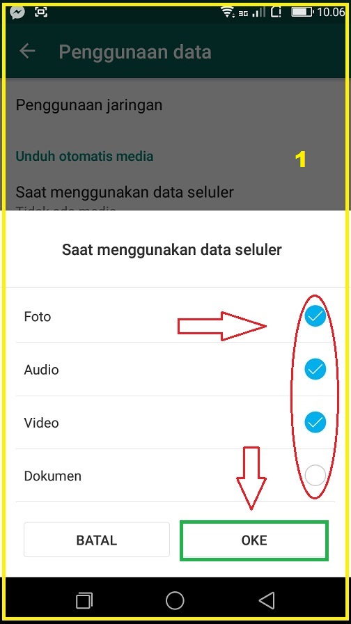 Detail Cara Agar Foto Tidak Terdownload Otomatis Di Wa Nomer 14