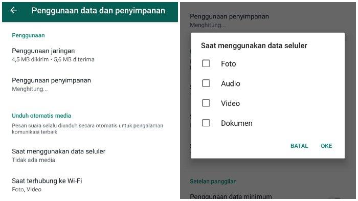 Detail Cara Agar Foto Tidak Terdownload Otomatis Di Wa Nomer 37