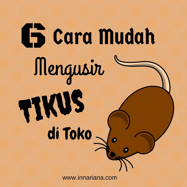 Detail Cara Agar Tikus Tidak Masuk Rumah Nomer 43