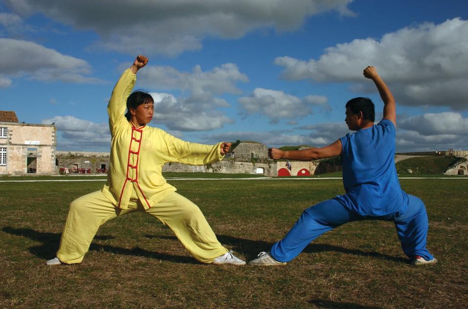 Detail Cara Belajar Kungfu Di Rumah Nomer 14