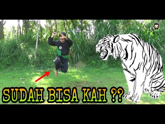 Detail Cara Belajar Silat Harimau Sendiri Di Rumah Nomer 6