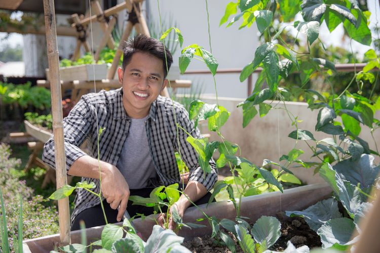 Detail Cara Berkebun Di Halaman Rumah Nomer 34