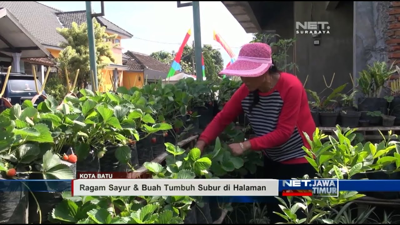 Detail Cara Berkebun Di Pekarangan Rumah Nomer 13