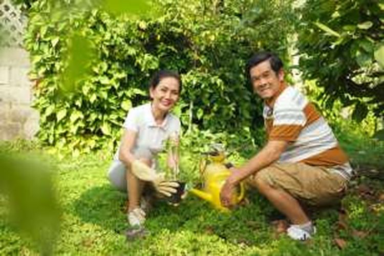 Detail Cara Berkebun Di Pekarangan Rumah Nomer 36