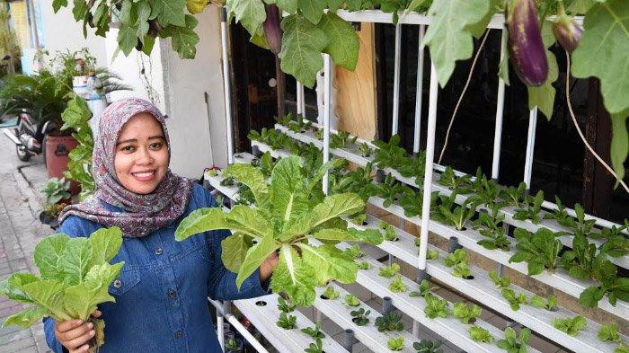 Detail Cara Berkebun Di Pekarangan Rumah Nomer 43