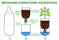 Detail Cara Berkebun Hidroponik Sederhana Di Rumah Nomer 7