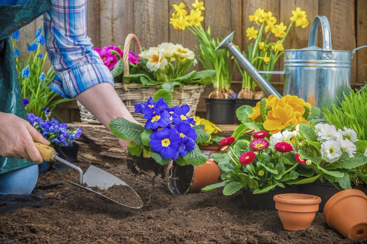 Detail Cara Bikin Taman Depan Rumah Sederhana Nomer 27