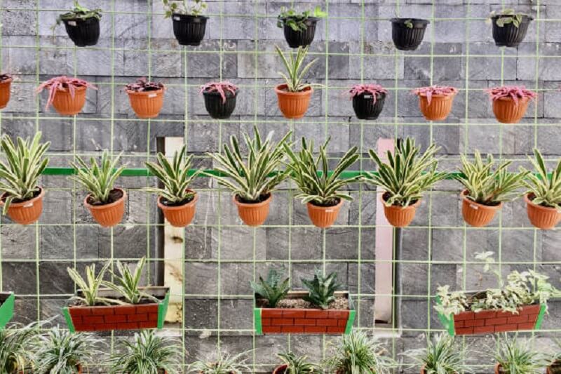 Detail Cara Bikin Taman Depan Rumah Sederhana Nomer 49