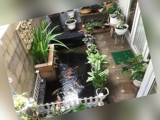 Detail Cara Bikin Taman Depan Rumah Sederhana Nomer 54