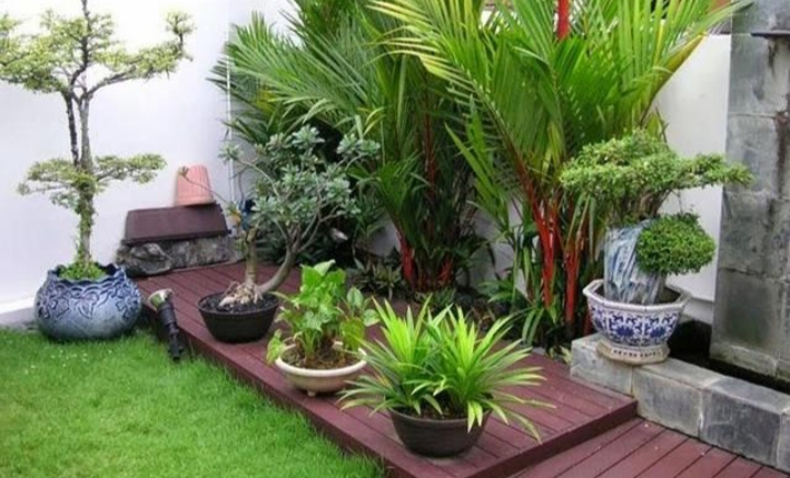 Detail Cara Bikin Taman Depan Rumah Sederhana Nomer 6