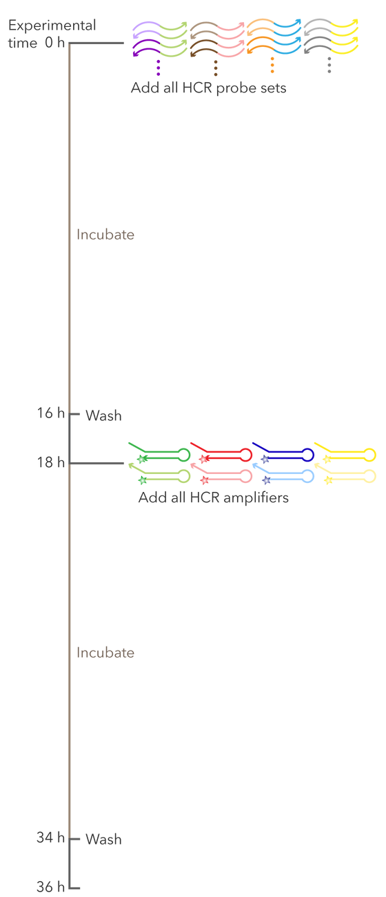 Detail Cara Buat Gambar Png Nomer 36