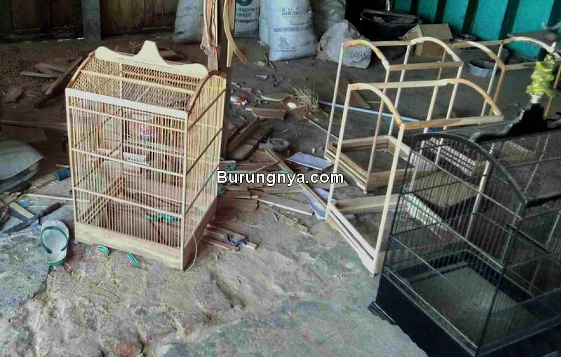 Cara Buat Kandang Burung - KibrisPDR