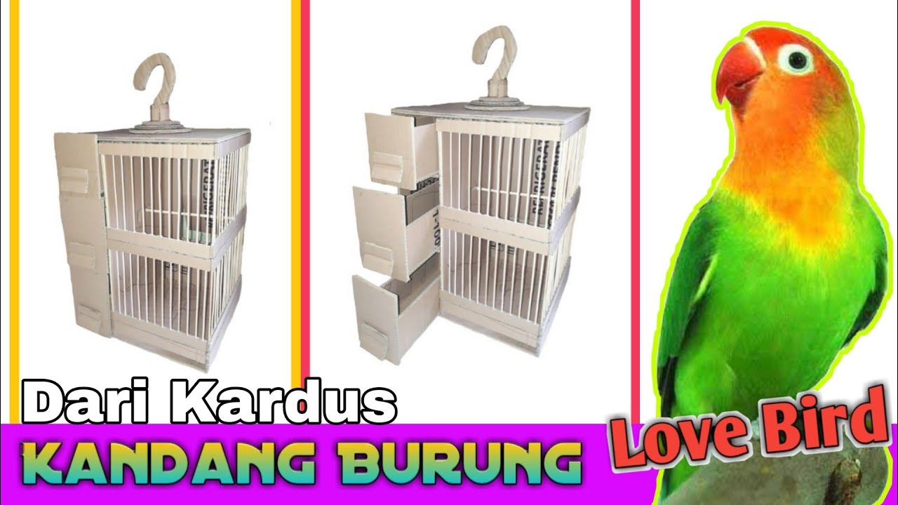 Detail Cara Buat Kandang Burung Nomer 49